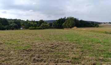 Działka siedliskowa Jaźwina Janczowice