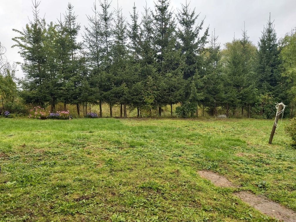 Działka rekreacyjna Plenowo. Zdjęcie 6