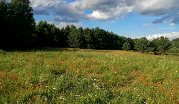 Działka budowlana Jerutki