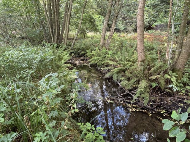 Działka budowlana Koleczkowo, ul. Jeziorna. Zdjęcie 7