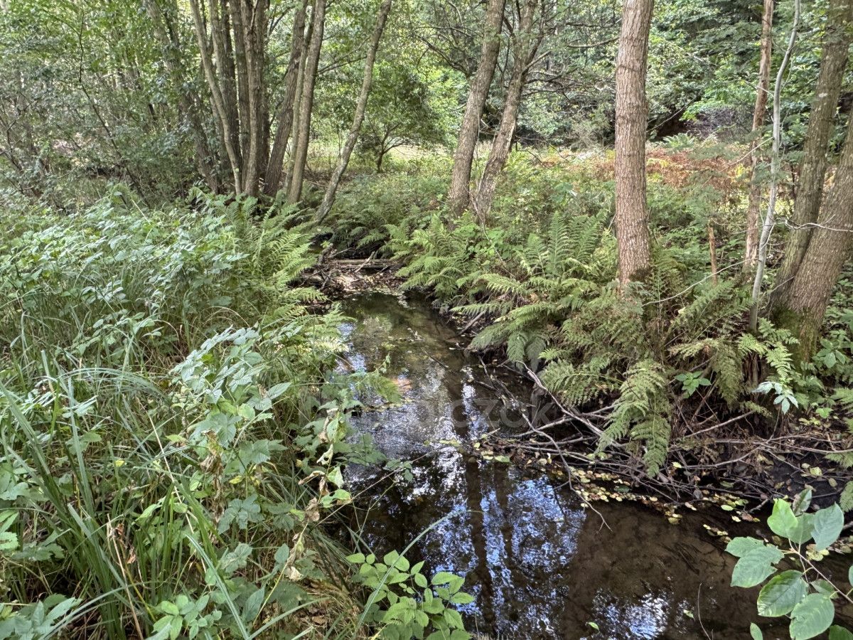 Działka budowlana Koleczkowo, ul. Jeziorna. Zdjęcie 7