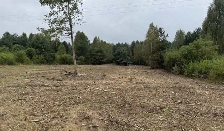 Działka rolno-budowlana Rogowice