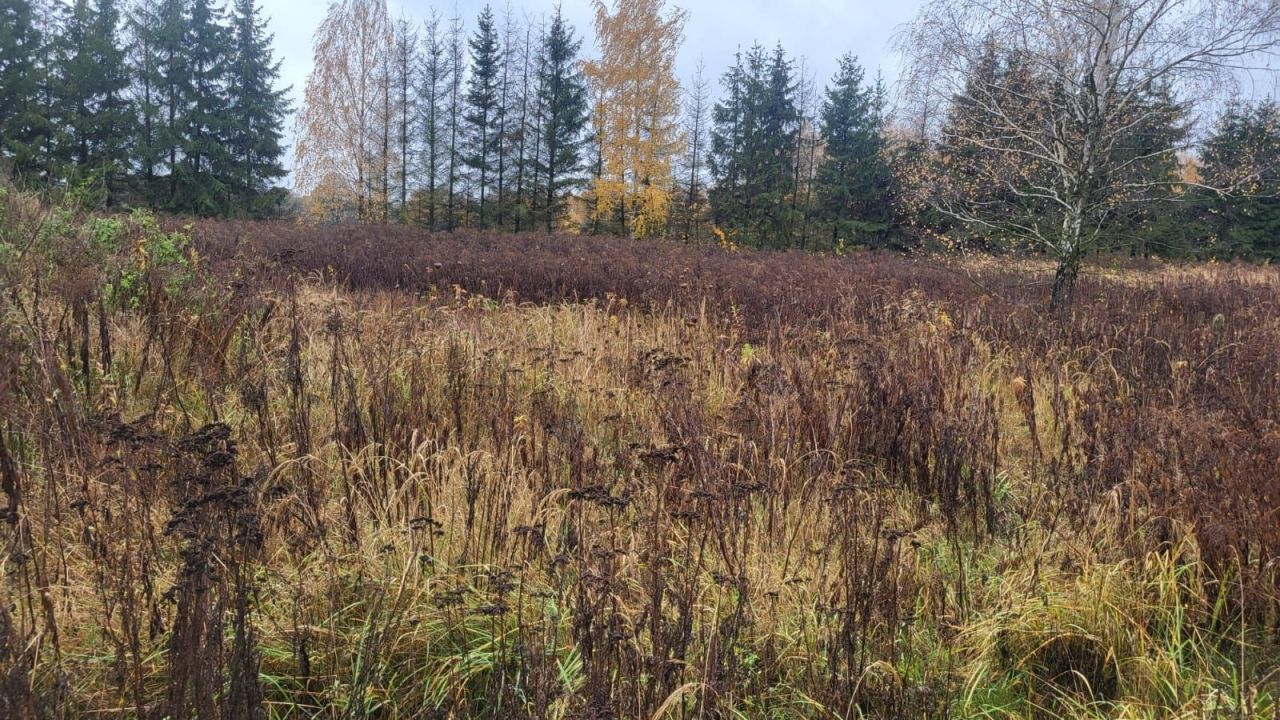 Działka budowlana Zboiska, ul. Lawendowa. Zdjęcie 4