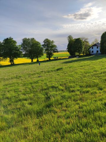 Działka rolno-budowlana Emilianowo. Zdjęcie 1