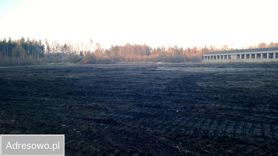 Działka inwestycyjna Lipie. Zdjęcie 4