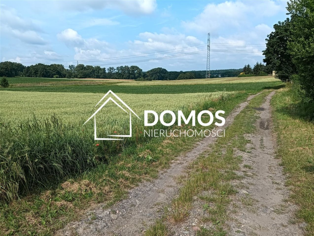 Działka budowlana Mikołów Mokre. Zdjęcie 2
