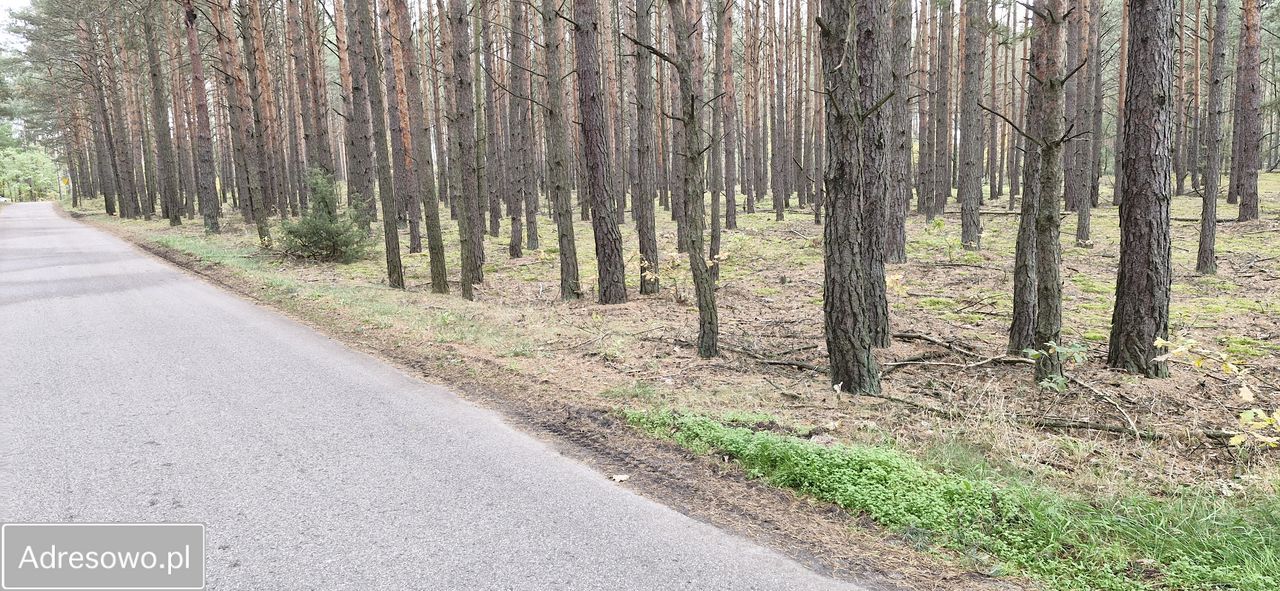Działka inna Kiciny. Zdjęcie 3