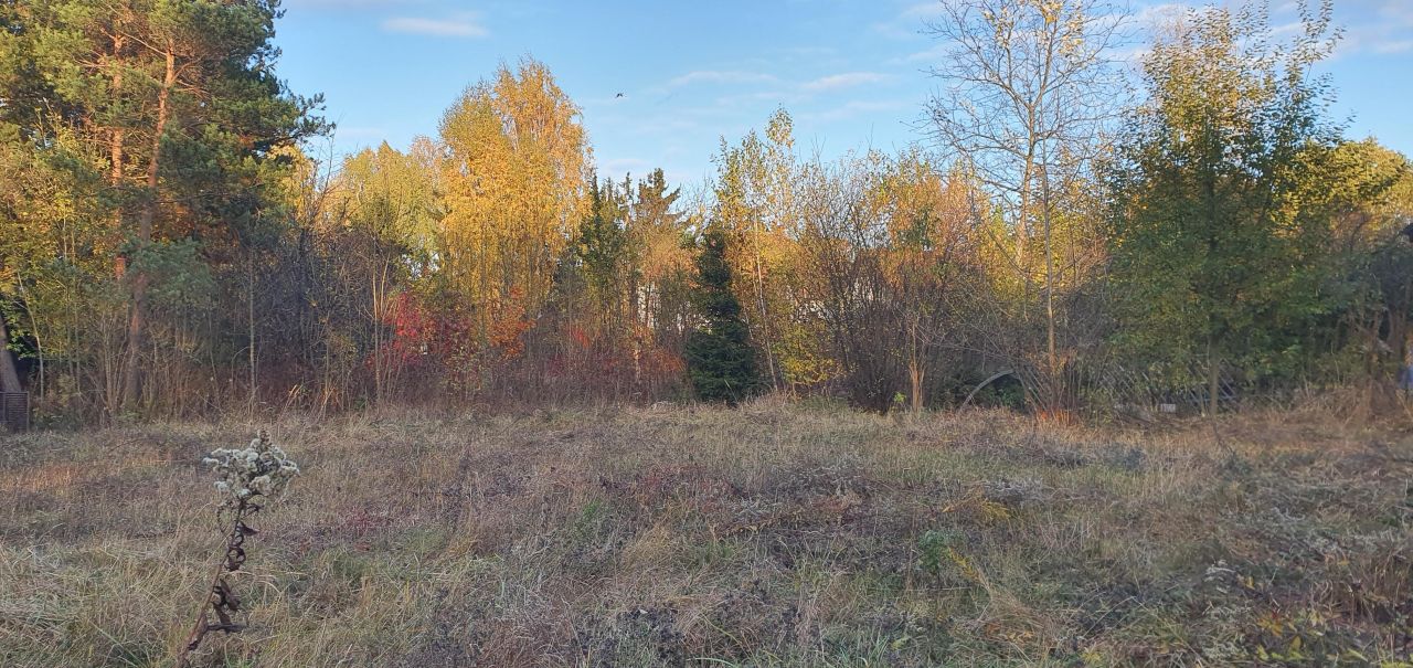 Działka budowlana Michałowice, ul. Rynkowa