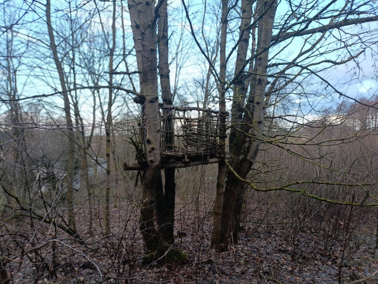 Działka budowlana Wylazłowo. Zdjęcie 13