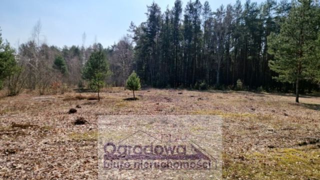 Działka budowlana Kąty. Zdjęcie 2