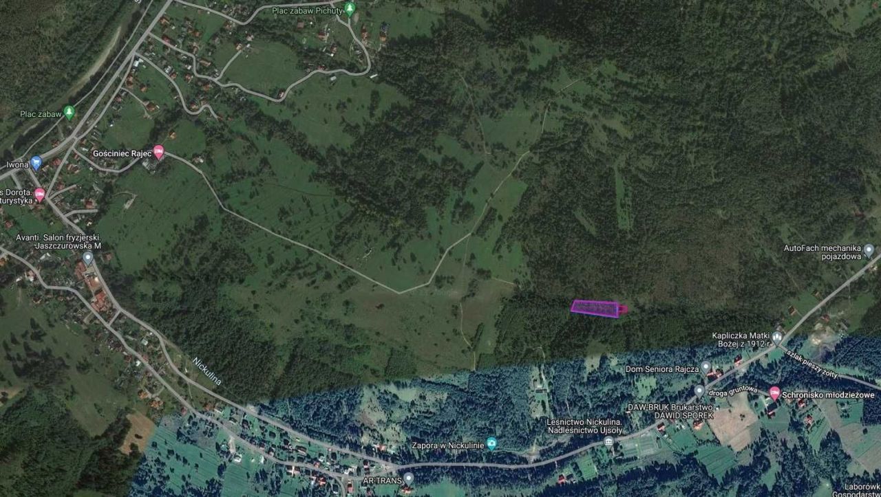 Działka leśna Rajcza Nickulina. Zdjęcie 1