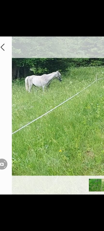 Działka budowlana Ludwikowice Kłodzkie, ul. Kolonia Jana Kasprowicza. Zdjęcie 3