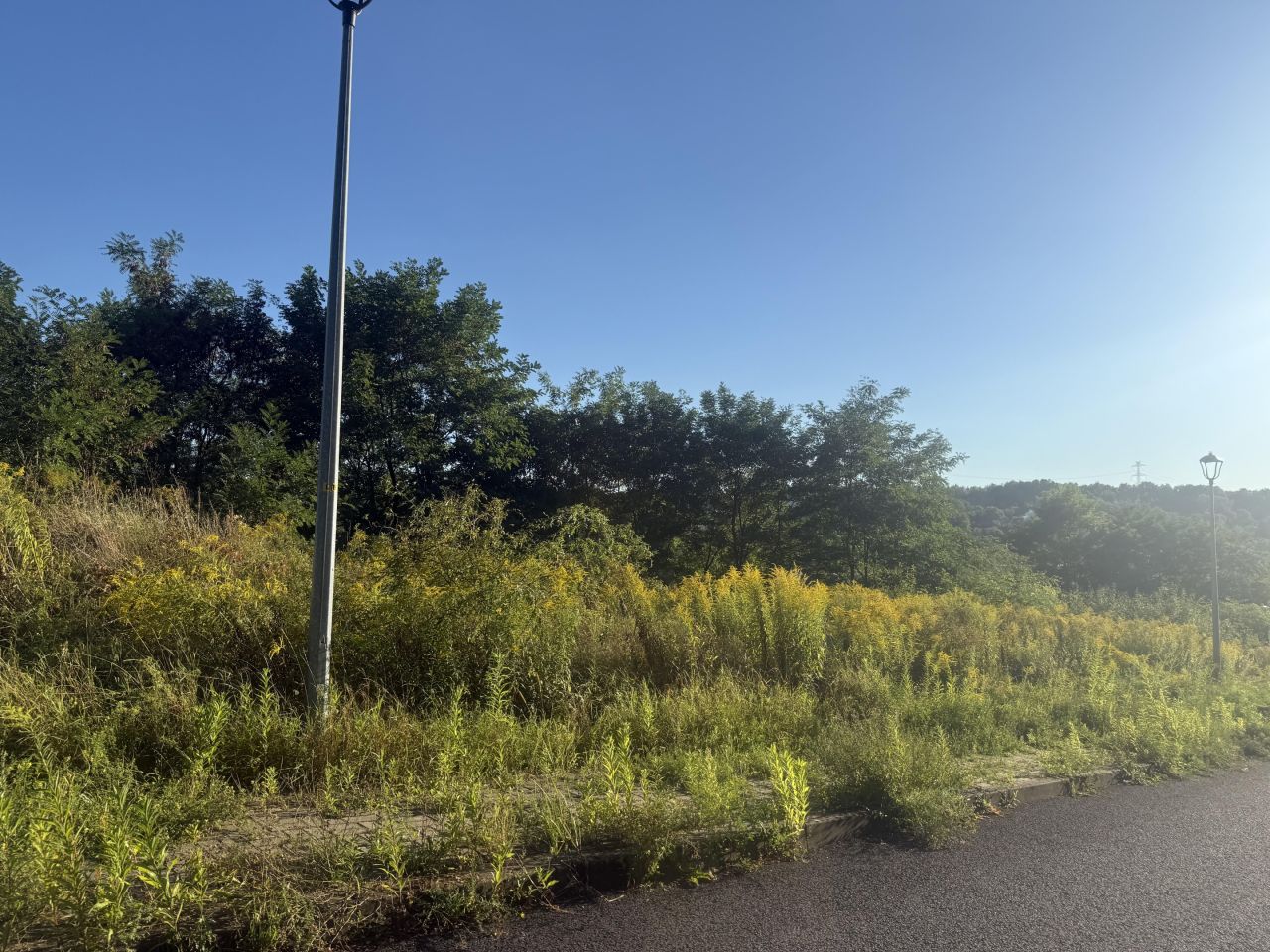 Działka budowlana Lwówek Śląski, ul. Zwycięzców. Zdjęcie 5