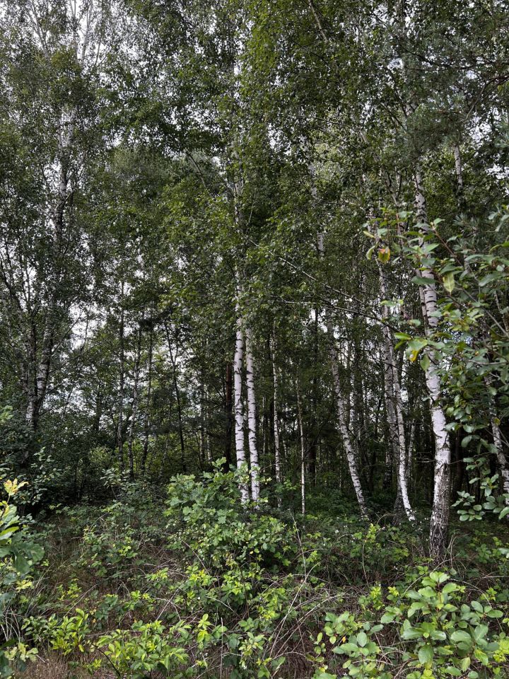 Działka budowlana Anastazew. Zdjęcie 10