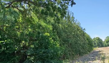 Działka budowlana Mokra Lewa