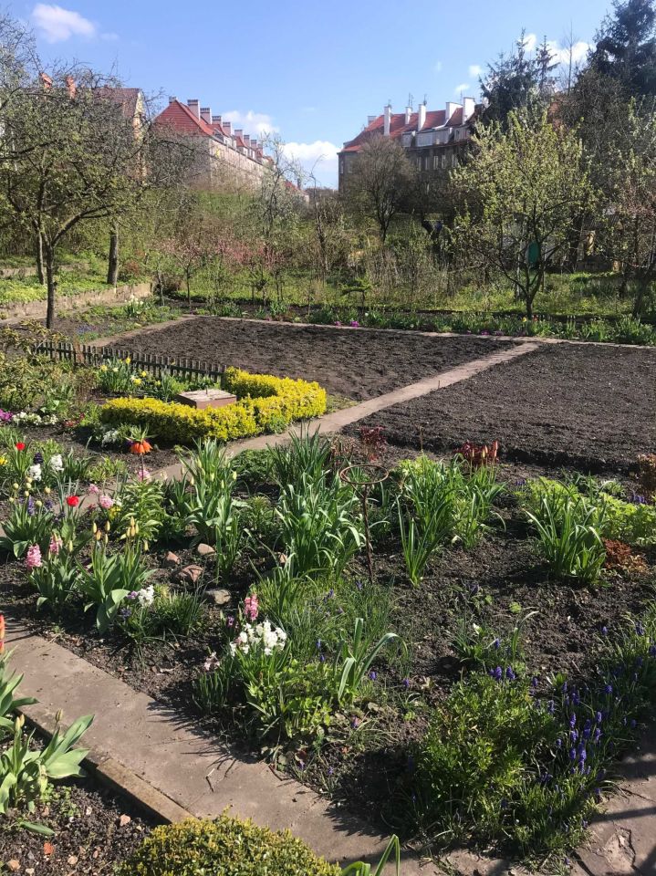 Działka rod Wrocław Fabryczna, ul. Stalowa. Zdjęcie 4