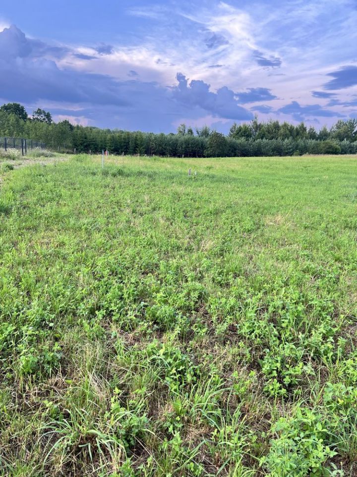 Działka rolno-budowlana Brajniki. Zdjęcie 8