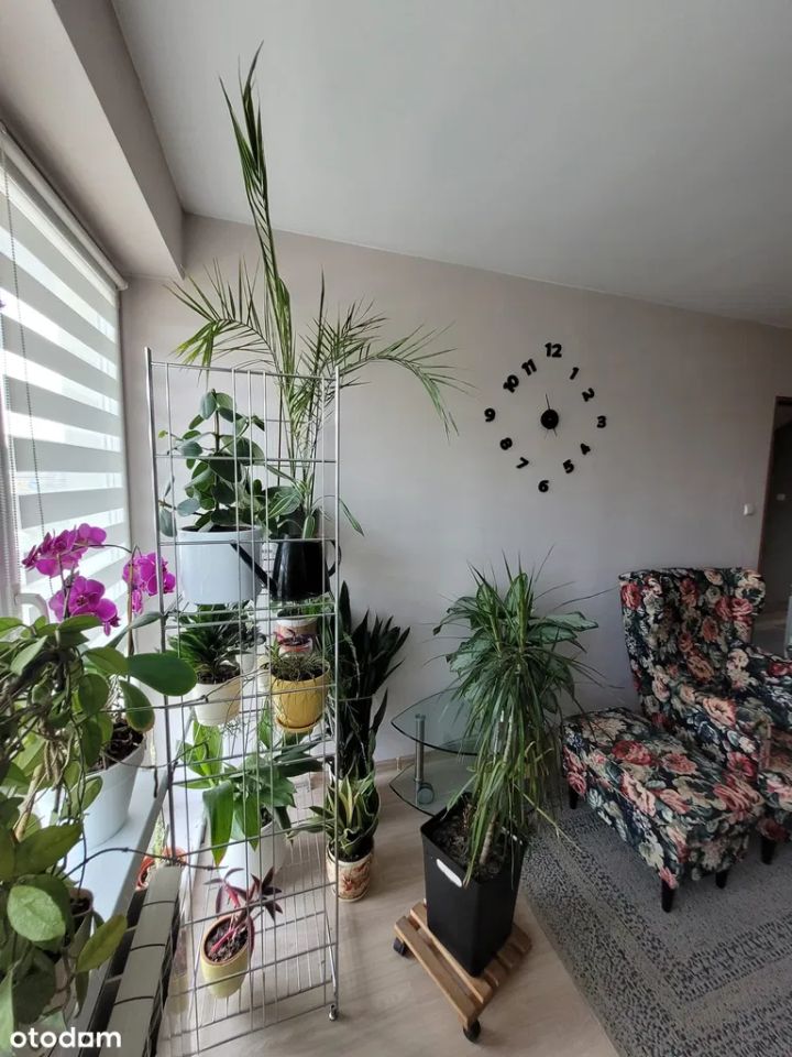 dom wolnostojący, 6 pokoi Mochowo Nowe, ul. Miła. Zdjęcie 7