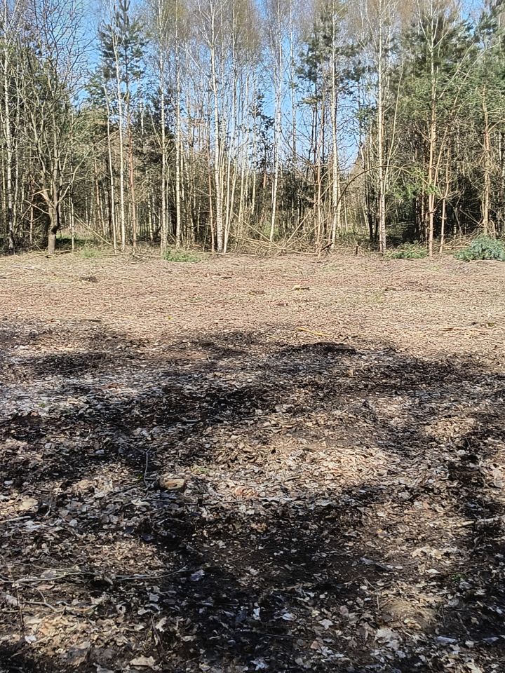 Działka rolno-budowlana Tarło-Kolonia. Zdjęcie 5