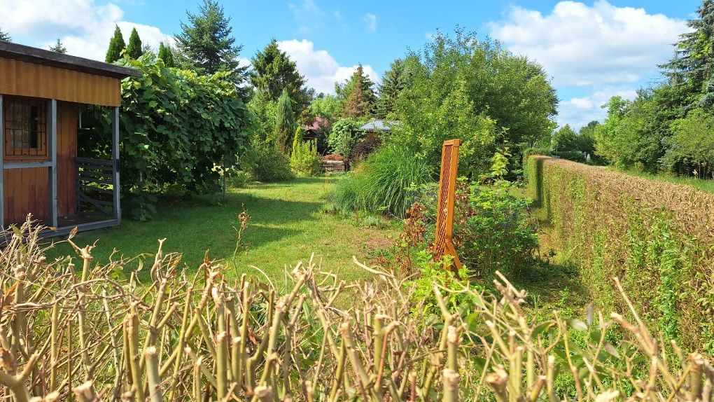 Działka rod Rzeszów, al. Armii Krajowej. Zdjęcie 1