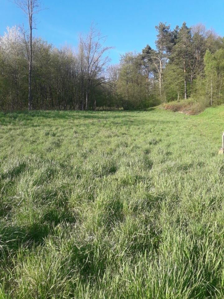 Działka budowlana Kuńkowce. Zdjęcie 6