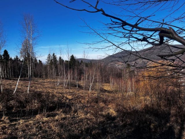 Działka budowlana Brenna. Zdjęcie 5