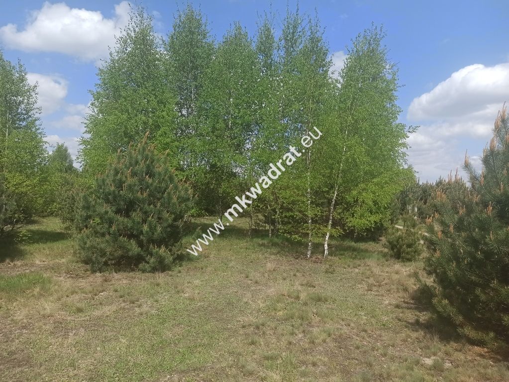 Działka budowlana Kuklówka Radziejowicka. Zdjęcie 3