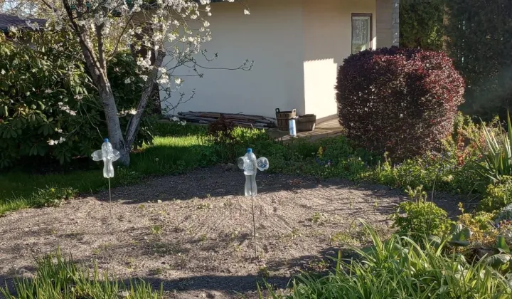 Działka rod Chocianów