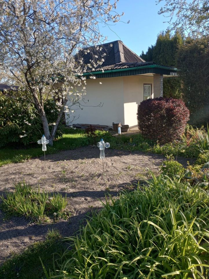 Działka rod Chocianów. Zdjęcie 1