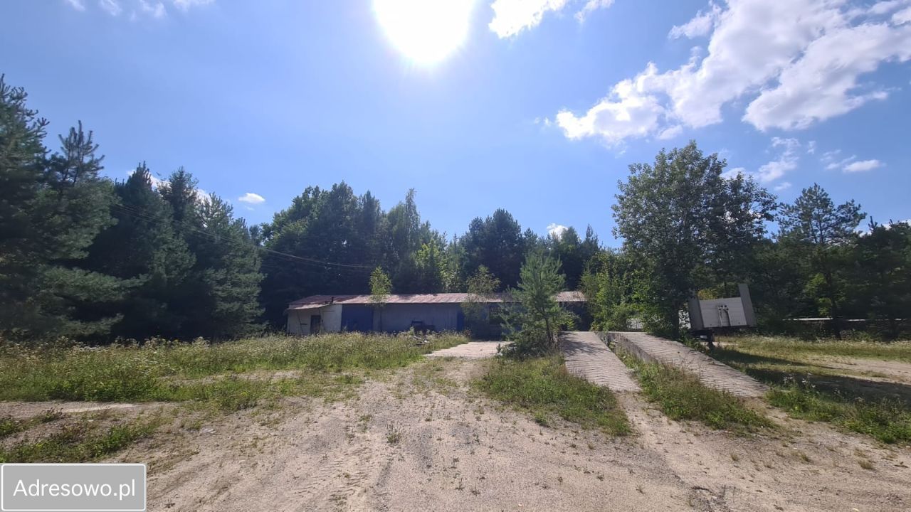 Hala/magazyn Mrozy, ul. Nadrzeczna. Zdjęcie 12