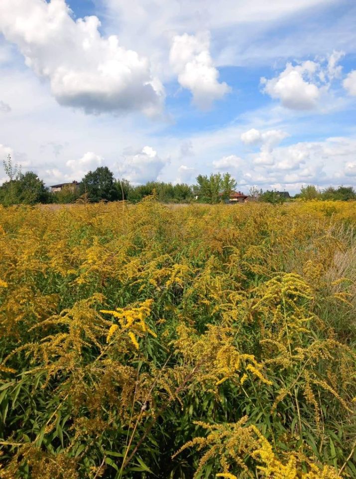 Działka budowlana Sosnowiec, ul. Stefana Starzyńskiego. Zdjęcie 5