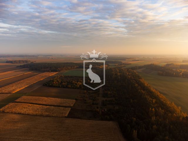 Działka budowlana Gnojno. Zdjęcie 17