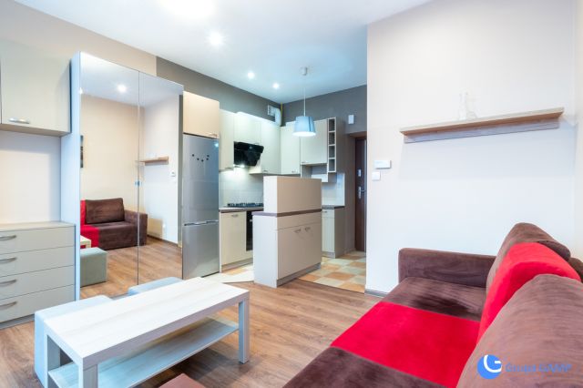 Mieszkanie 1-pokojowe Kraków Zwierzyniec, ul. Kasztelańska. Zdjęcie 1