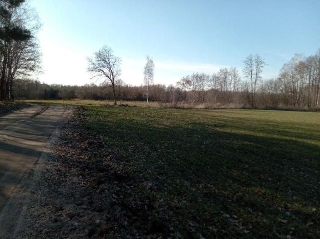 Działka rolna Rumunki Tupadelskie. Zdjęcie 1