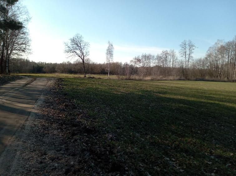 Działka rolna Rumunki Tupadelskie. Zdjęcie 2