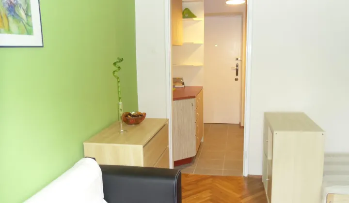 Mieszkanie 1-pokojowe Kraków Prądnik Czerwony, ul. Wileńska