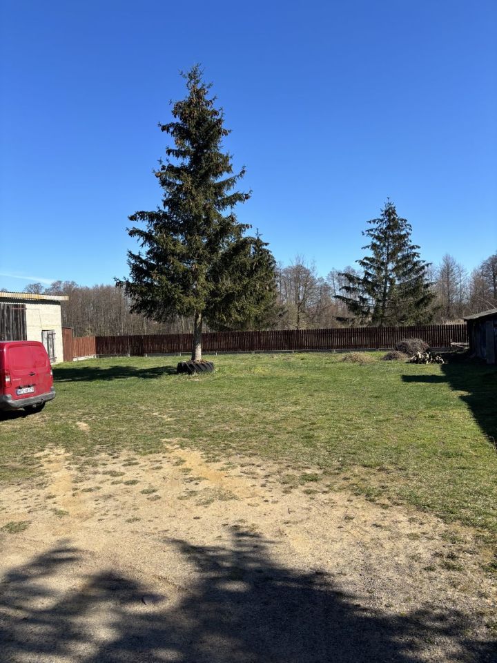 siedlisko Gościejewo. Zdjęcie 8