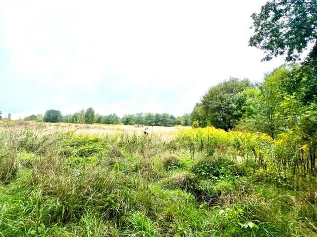 Działka budowlana Zgorzelec, ul. Lubańska. Zdjęcie 4