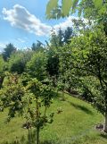 Działka rod Świdnica. Zdjęcie 2