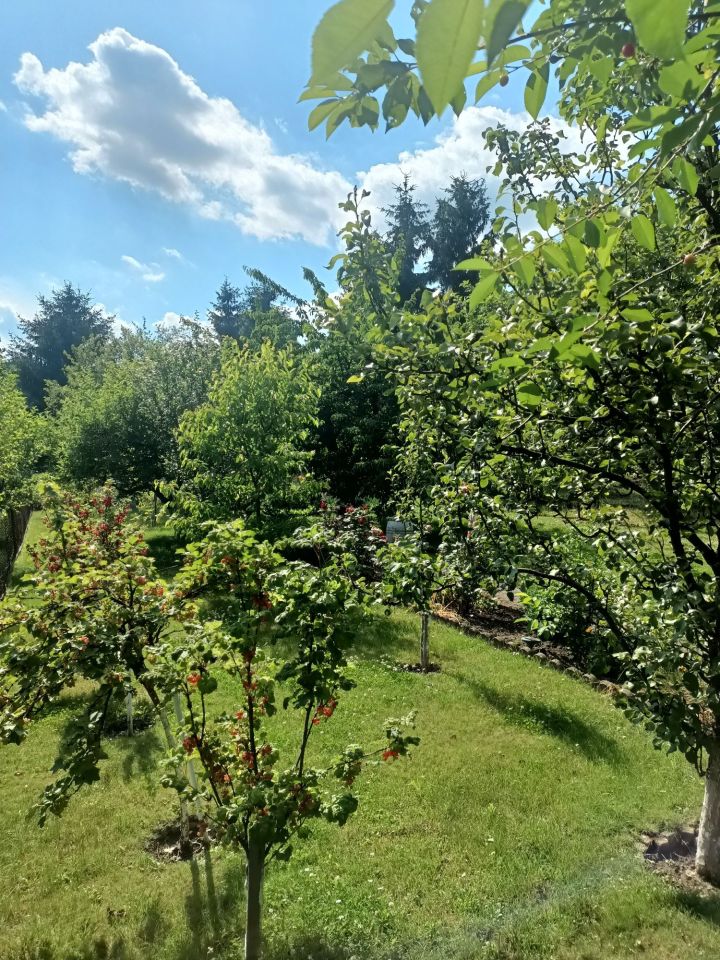 Działka rekreacyjna Świdnica. Zdjęcie 3