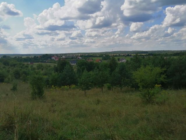 Działka rolna Jedwabno. Zdjęcie 1