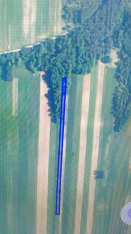 Działka rolna Grabowce Dolne. Zdjęcie 1