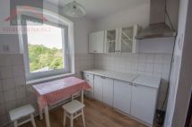 Mieszkanie 2-pokojowe Biedrzychowice. Zdjęcie 4