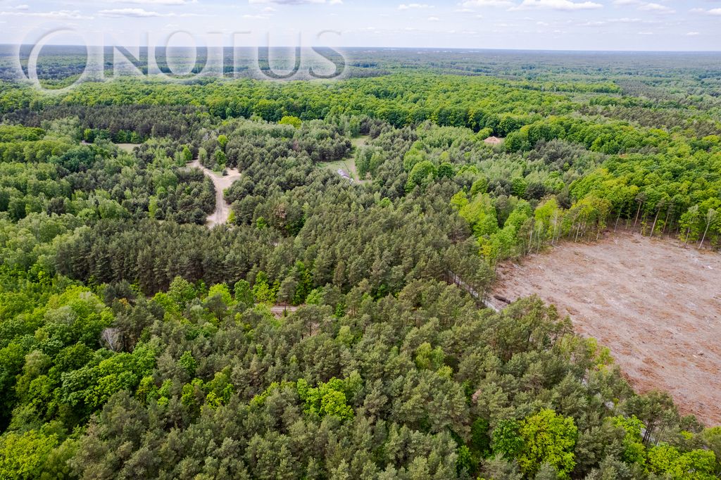 Działka budowlana Radziejowice, ul. Do Lasu. Zdjęcie 14