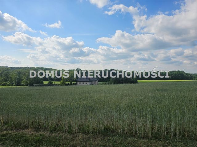 Działka Tworzyjanki. Zdjęcie 4