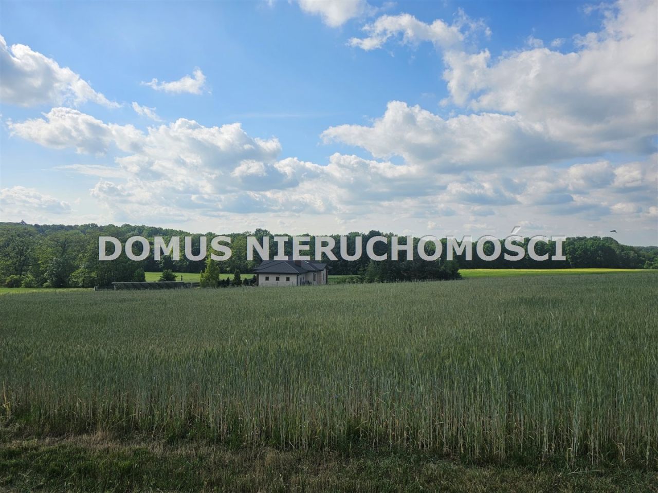 Działka Tworzyjanki. Zdjęcie 4