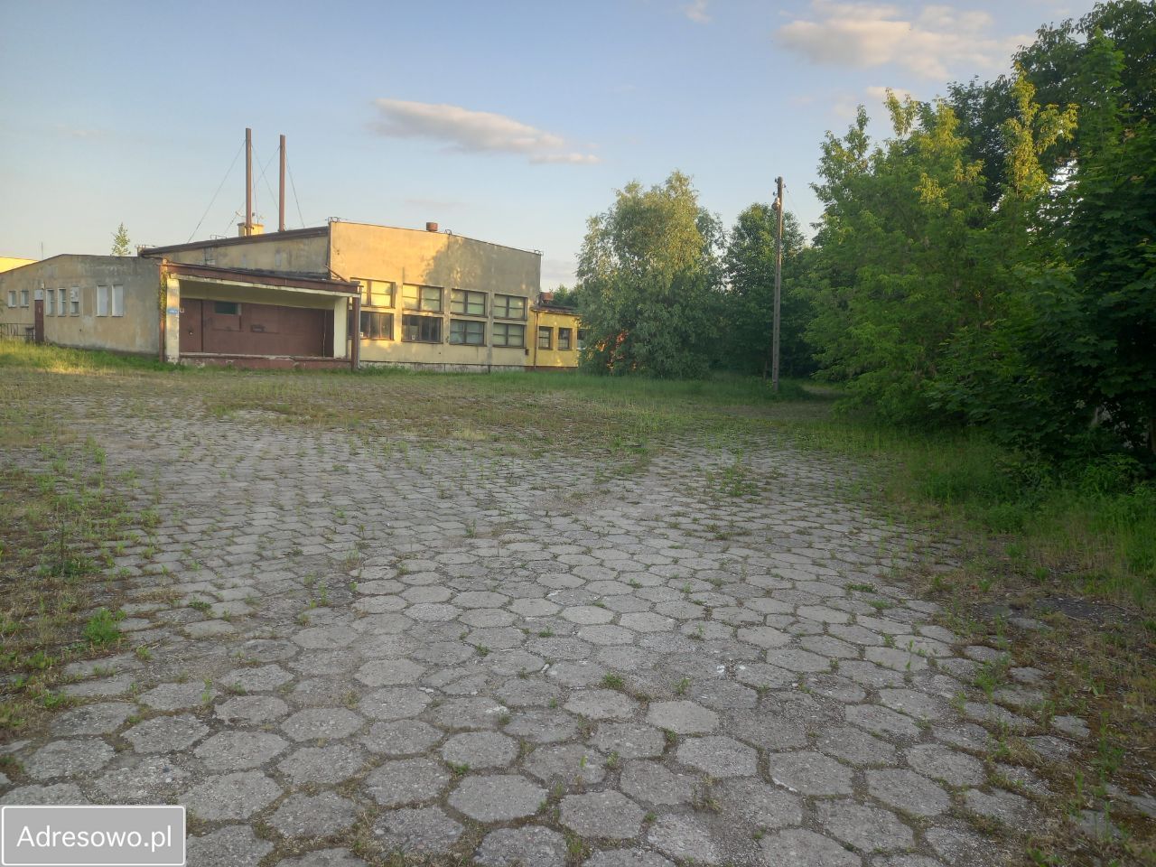 Lokal Ciechanów Centrum, ul. Henryka Sienkiewicza. Zdjęcie 4