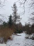 Działka budowlana Zabrze Mikulczyce, ul. Leśna. Zdjęcie 3