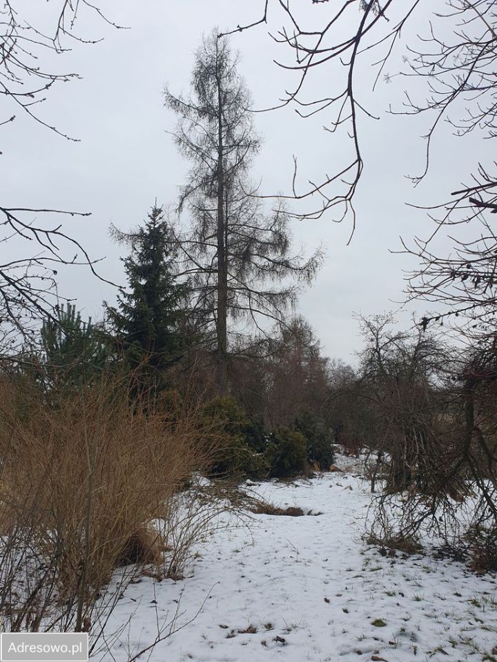 Działka budowlana Zabrze Mikulczyce, ul. Leśna. Zdjęcie 1