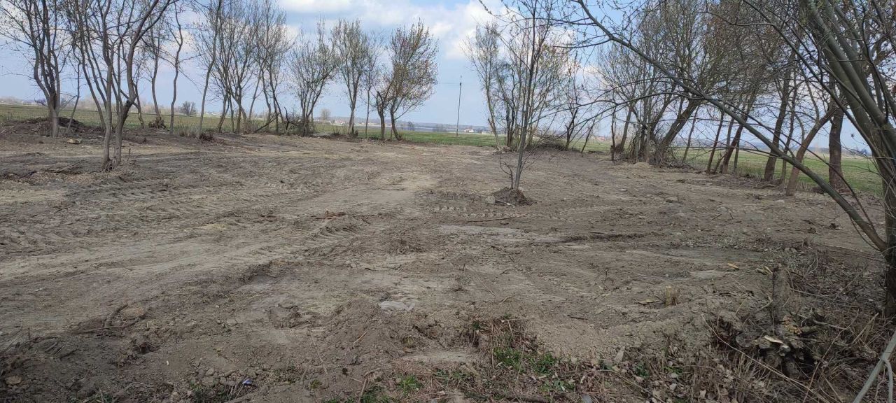 Działka budowlana Rgielew. Zdjęcie 1